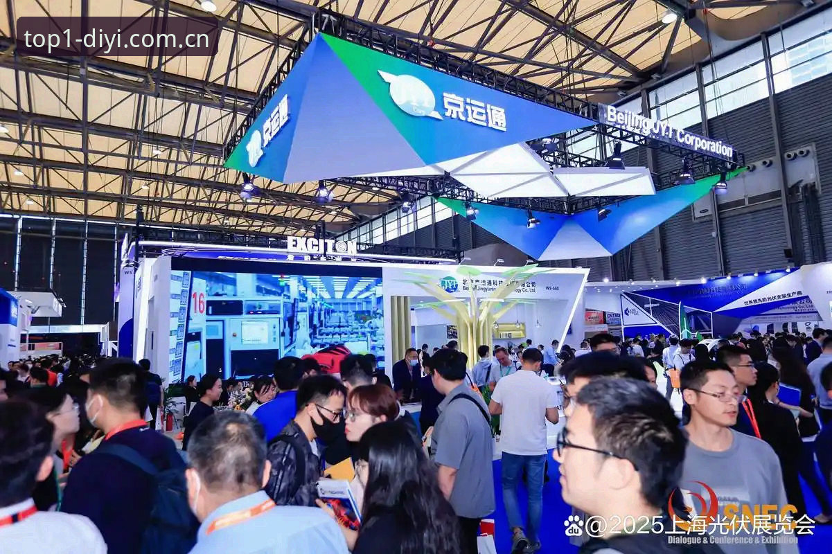 如何全面评测第一娱乐DYI2025？从体验升级到创新功能的全解析